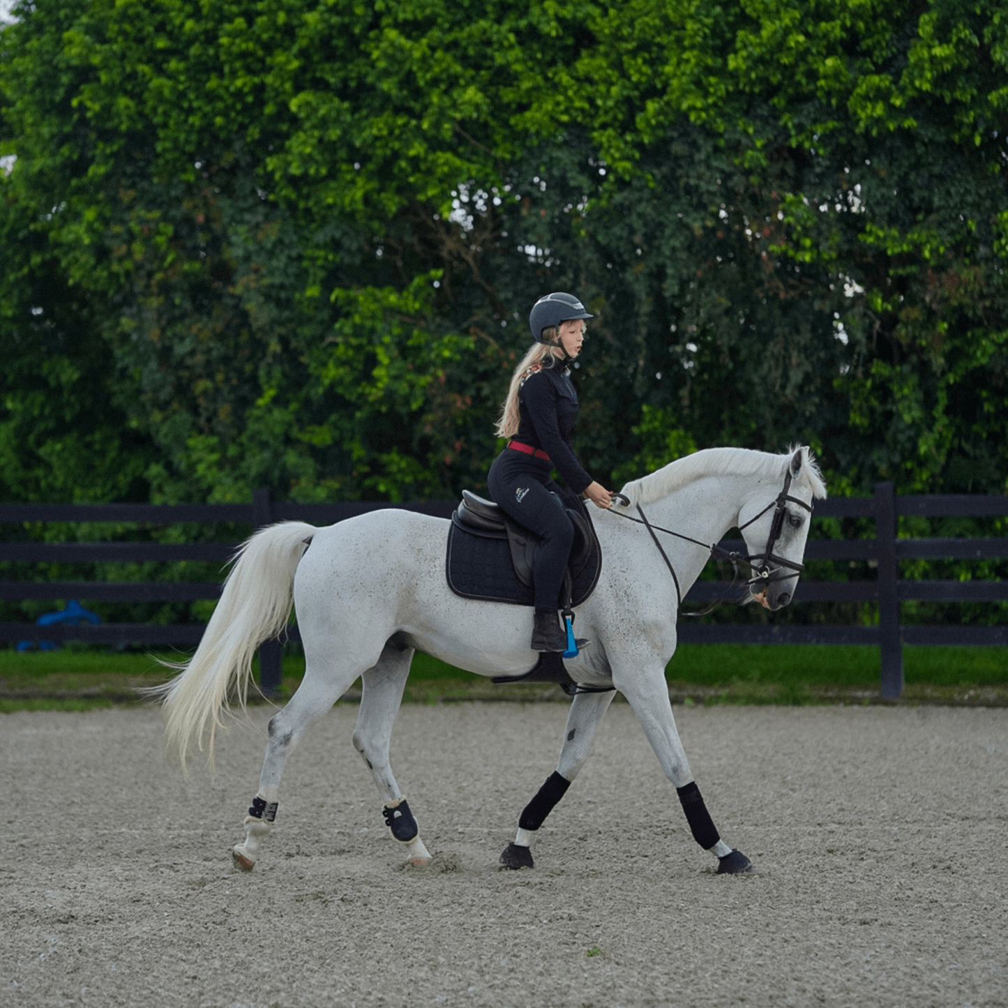 Black Bellísima Beginner Riding Legging